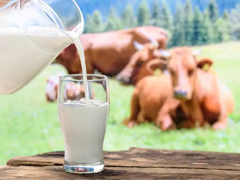 کرم سفید کننده و آبرسان شیر گاو ایمیجز اصل